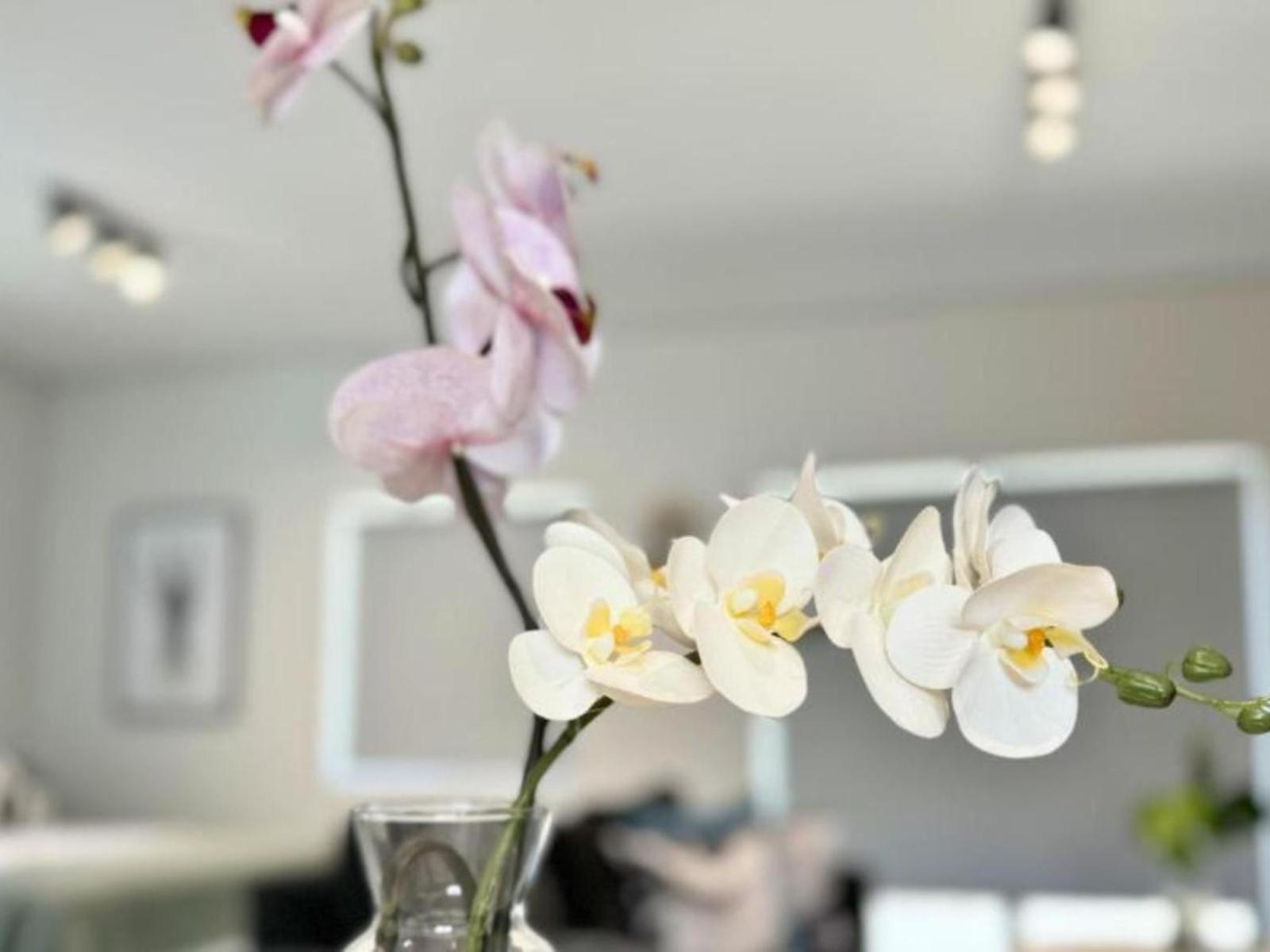 Obs Centre Luxe Loft Appartement
