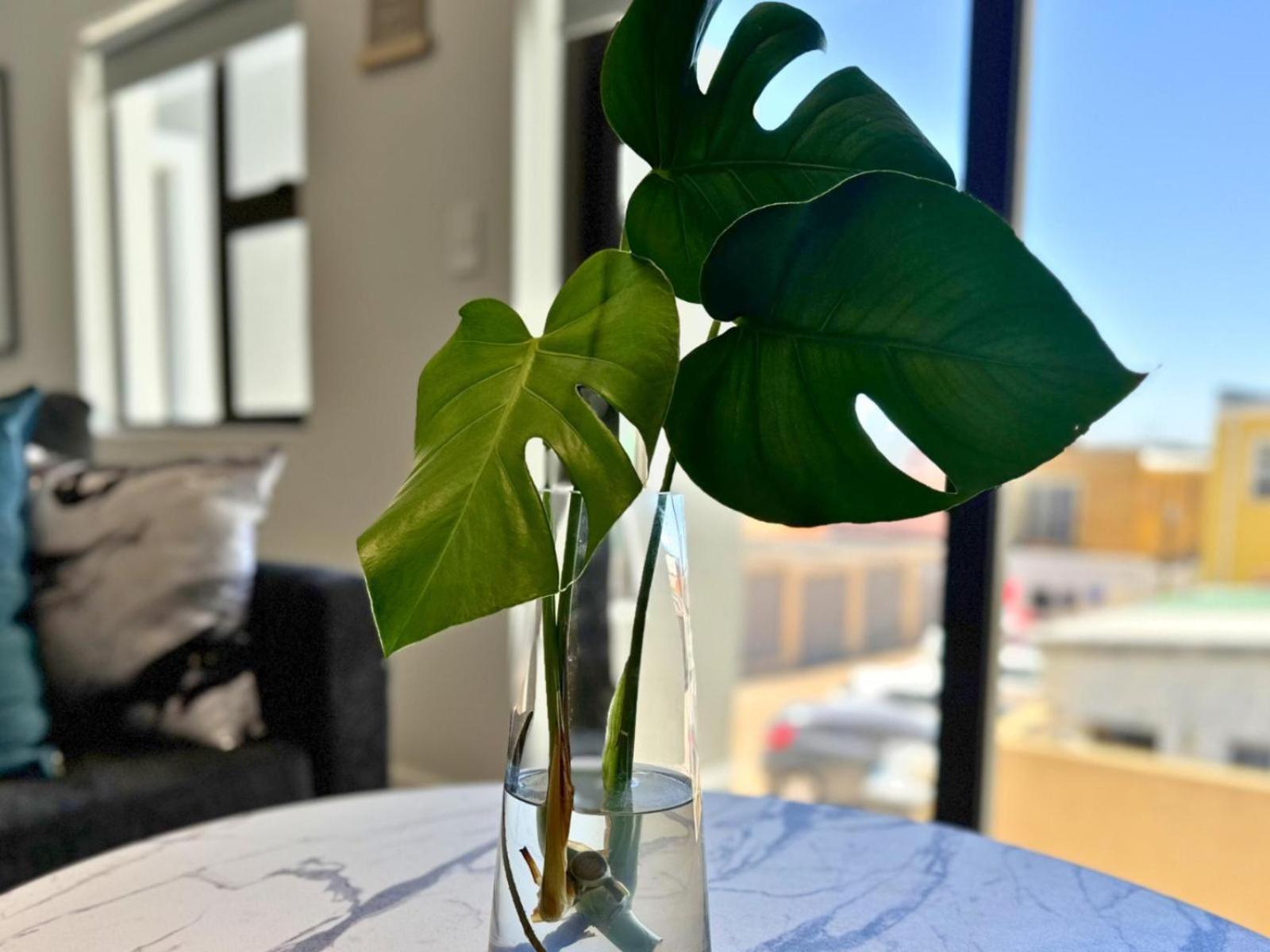 Obs Centre Luxe Loft * Kaapstad