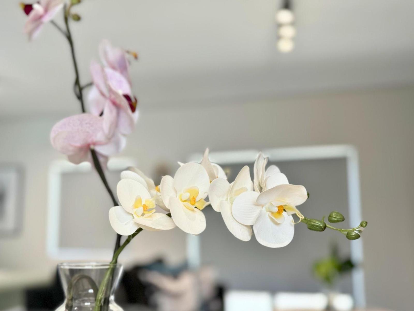 Obs Centre Luxe Loft Appartement
